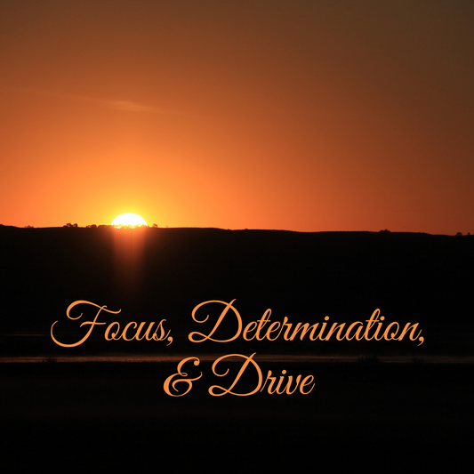 Focus, Determination, and Drive