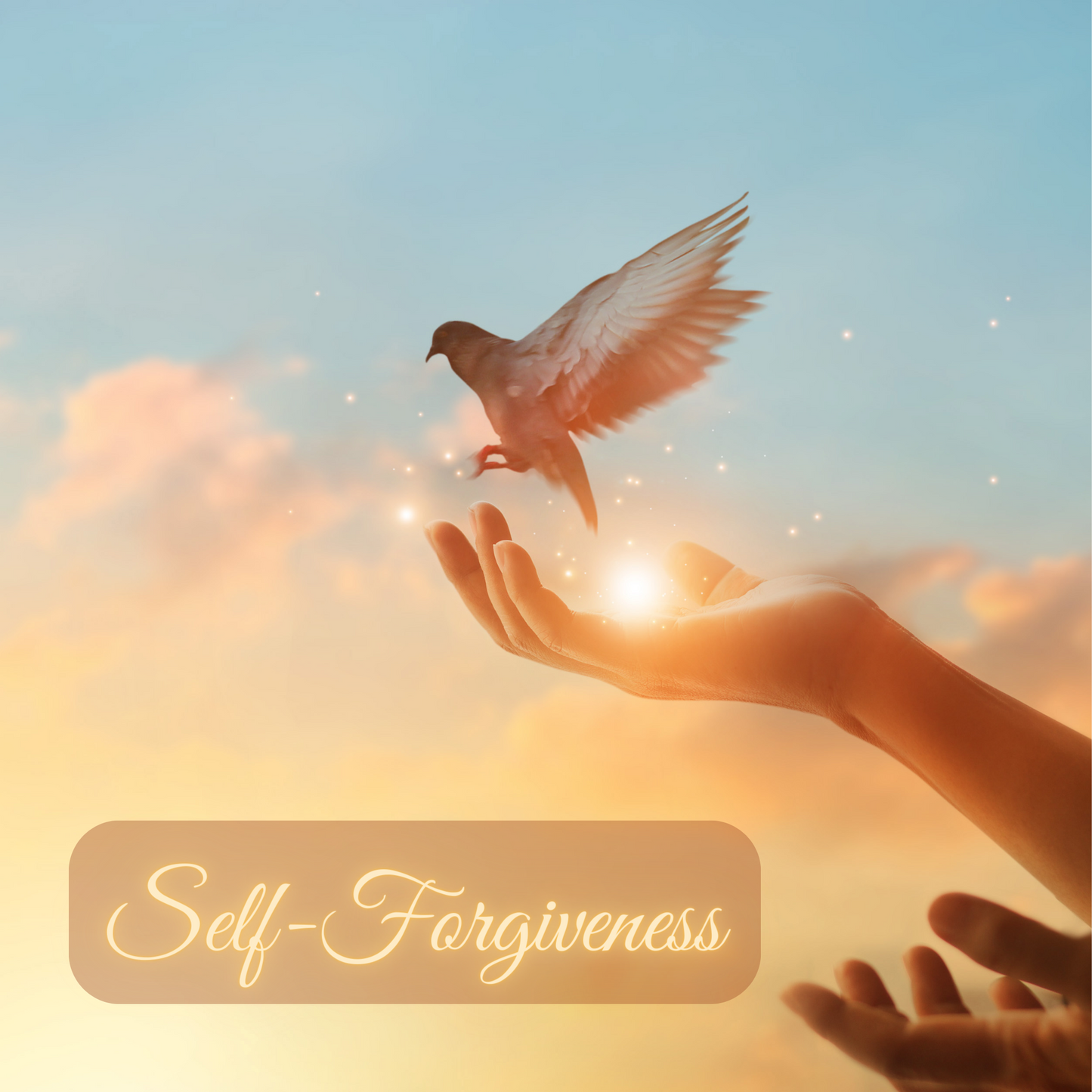 Self Forgiveness